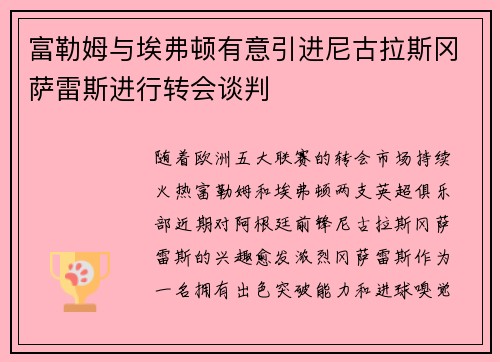 富勒姆与埃弗顿有意引进尼古拉斯冈萨雷斯进行转会谈判
